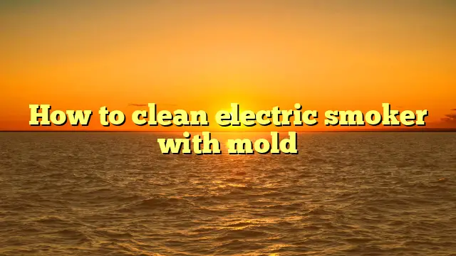 How to clean electric smoker with mold