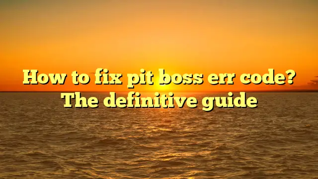 How to fix pit boss err code? The definitive guide