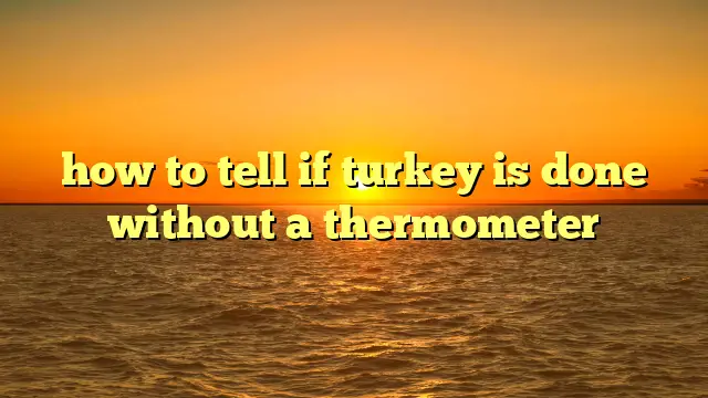 how to tell if turkey is done without a thermometer