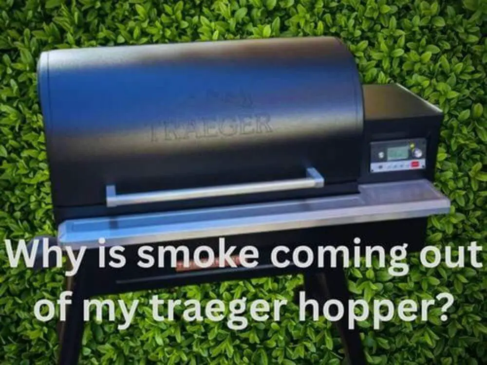 Traeger smoker in backyard