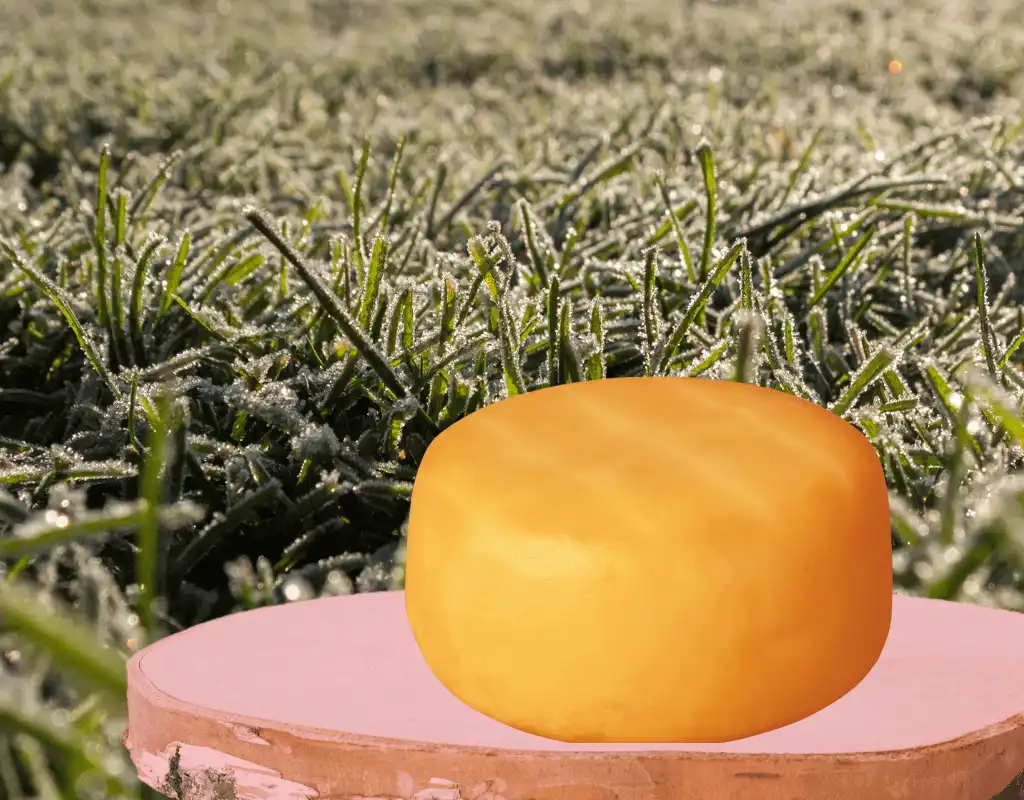 smoked cheese in grass