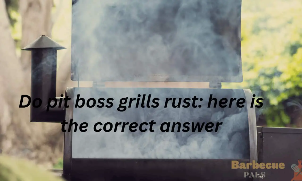 do pit boss grills rust