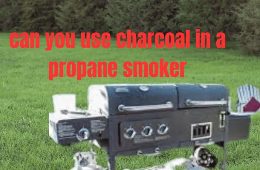 Can you use charcoal in a propane smoker
