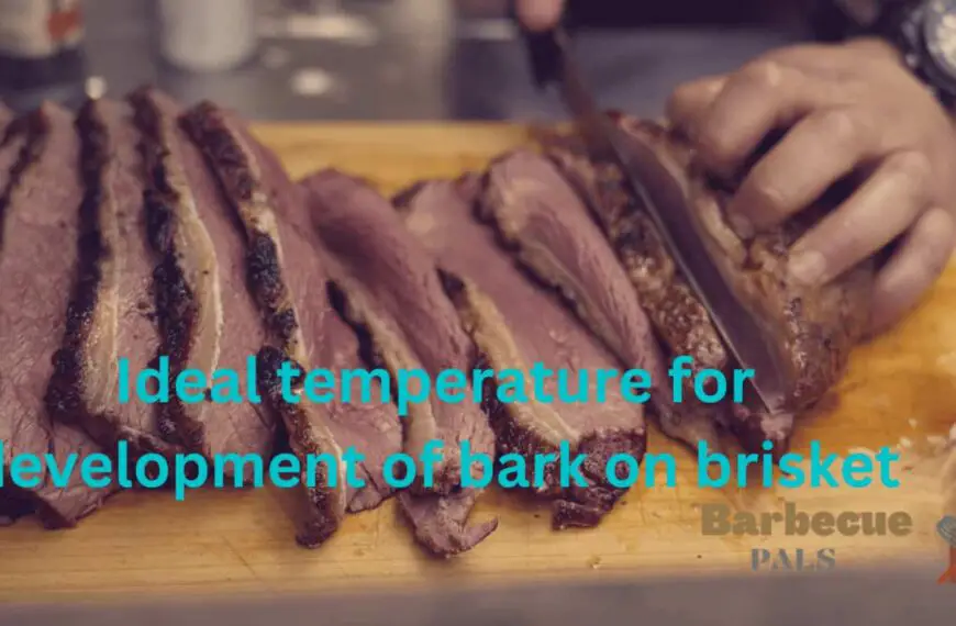 What is the best temperature for the development of bark on brisket?