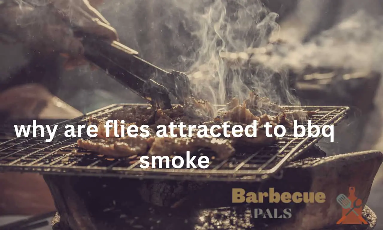 why are flies attracted to bbq smoke